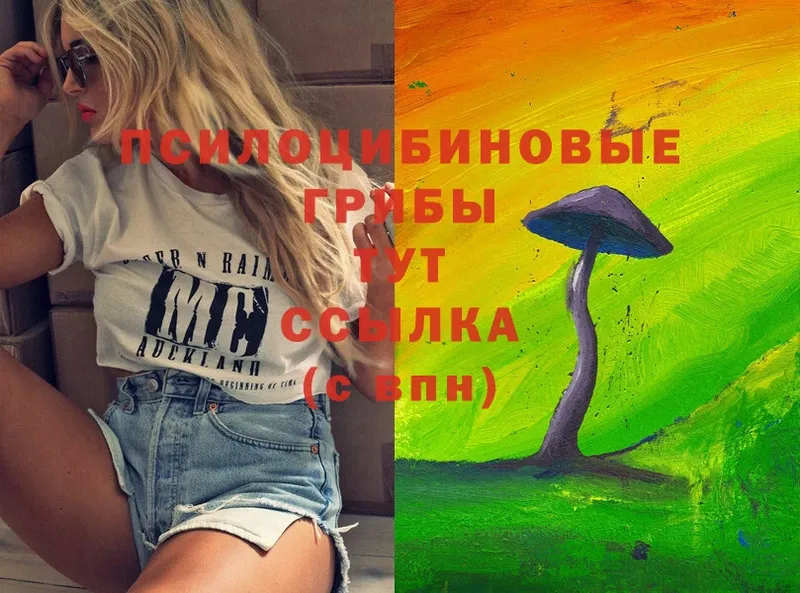 где можно купить наркотик  Кукмор  Псилоцибиновые грибы Cubensis 